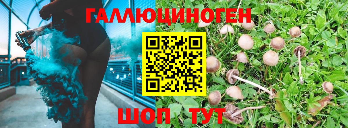 Галлюциногенные грибы Cubensis Россия