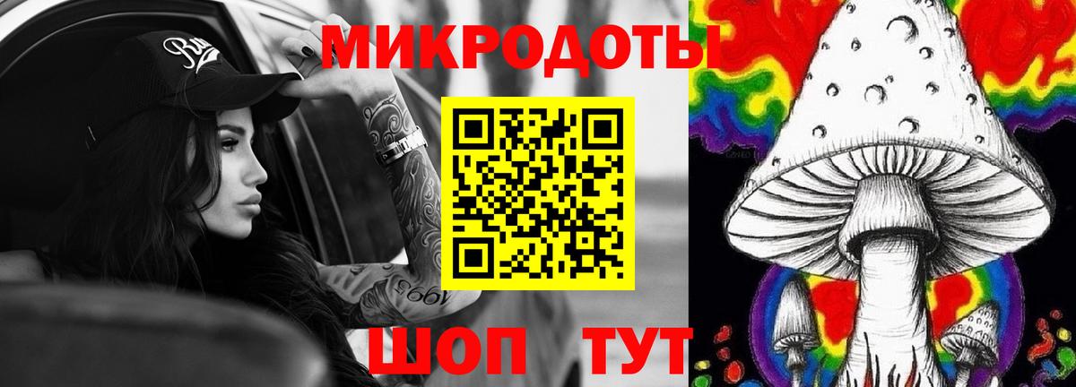 Псилоцибиновые грибы Psilocybine cubensis  Вход с VPN  Псилоцибиновые грибы прущие грибы  Россия 